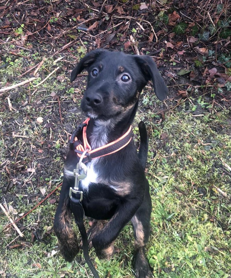 IMG-20210125-WA0009 IMG-20210125-WA0009