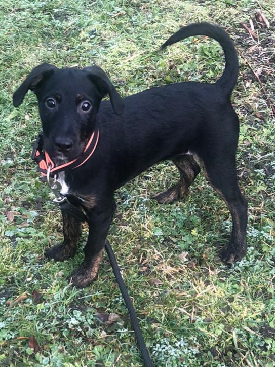 IMG-20210125-WA0010 IMG-20210125-WA0010