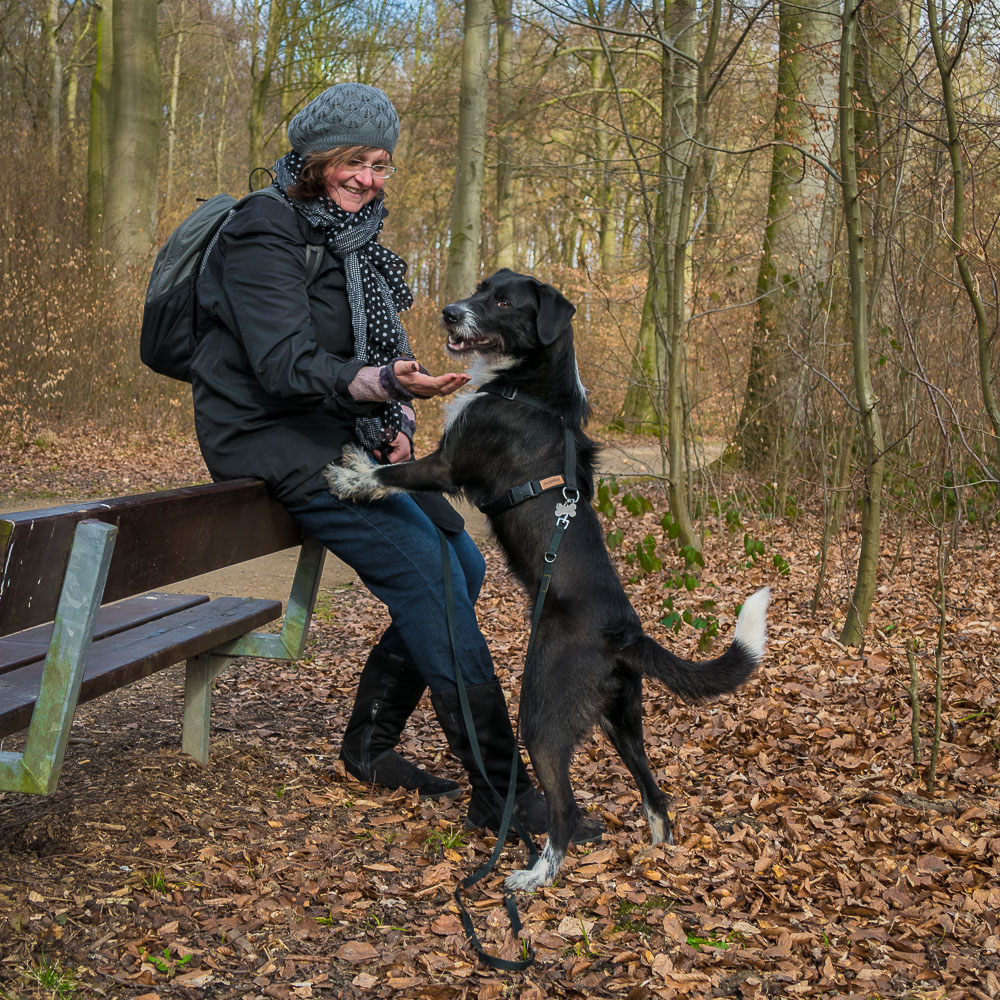 Berti_1