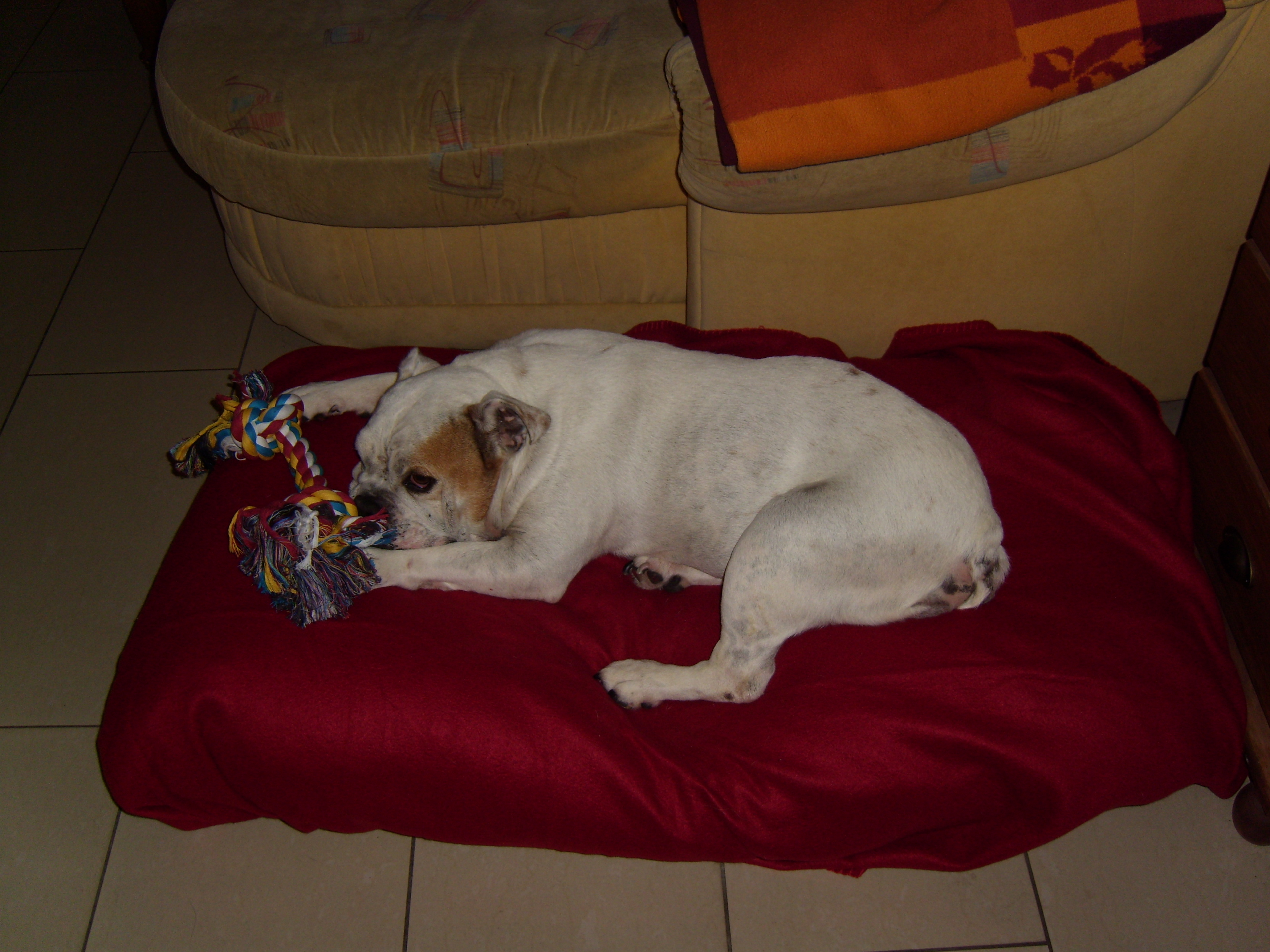 Betty082013