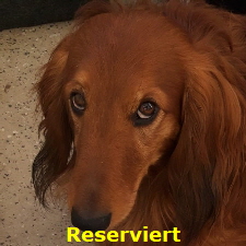 Balu (2)