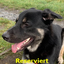IMG-20200210-WA0013 (2)