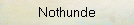 Nothunde