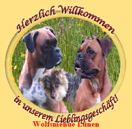 logo-luenen2