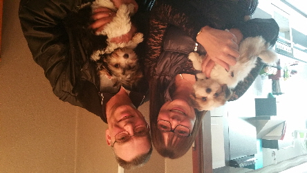 poppy gismo ab